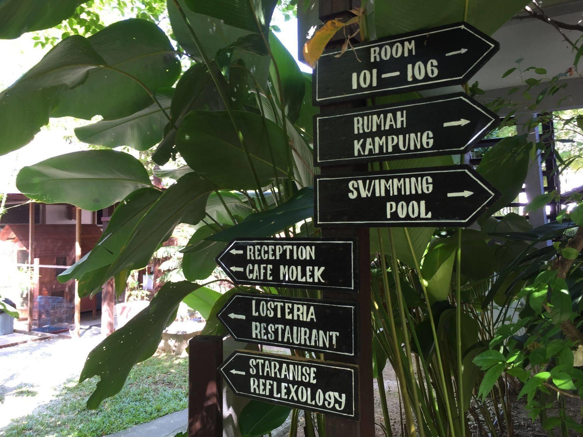 Villa Molek Langkawi Exteriör bild